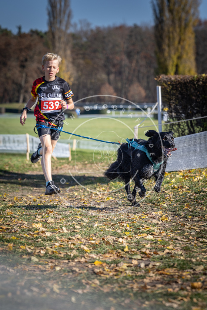 CaniXpix_DV3A8356 | Hundefotografie, Tierfotograf, Pfotenfotografie, Fotoshooting Hund, Hunde Portrait, Hundesport, Hundeportraits, Heideshooting, Hunde, Sportfotograf, Hundefotograf, Turnierhundsport, THS,  - Realisiert mit Pictrs.com