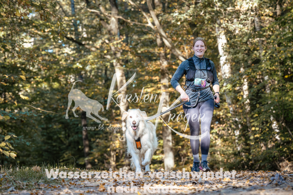 1120_ZZ92044 | kk-dogfotos
