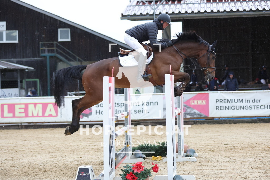 0P6A7599 | Willkommen bei Brunnmayr - Design & Fotografie – Ihrem Spezialisten für Reitturniere und Pferdeveranstaltungen in Oberösterreich, Salzburg und Bayern! Seit über 17 Jahren sind wir leidenschaftlich dabei.