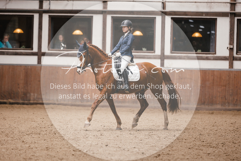 3I6A7384 | Stimmungsvolle Portraits und Reitsportfotografie im Ruhrgebiet und im Münsterland.

Pferdefotografie, Hundefotografie, Tierfotografie, Reportagen, Portraits von Tier und Mensch, Turnierfotografie in Bochum, Recklinghausen, Marl, Haltern am See, Dülmen.. - Realisiert mit Pictrs.com
