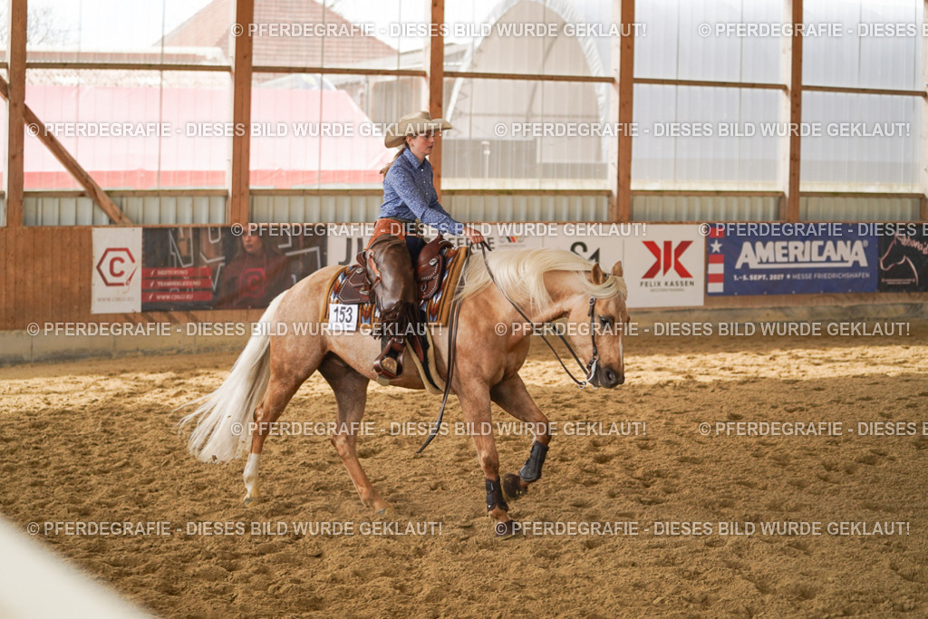 DSC05928 | Pferdegrafie