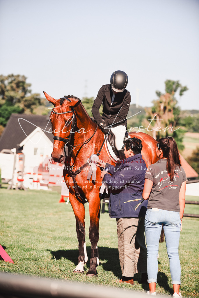 DSC_2299 | Pferde- und Turnierfotografie in Westsachsen. Pferdeportraits, Auftragszeichnungen und intuitive Kunst.