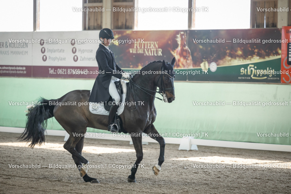 _D5A9265 | Emotionale Pferde- & People-Fotografie rund um Heidelberg, Leimen & Umgebung. Natürliche Fotos von Pferd, Mensch & Familie. Jetzt Termin sichern!