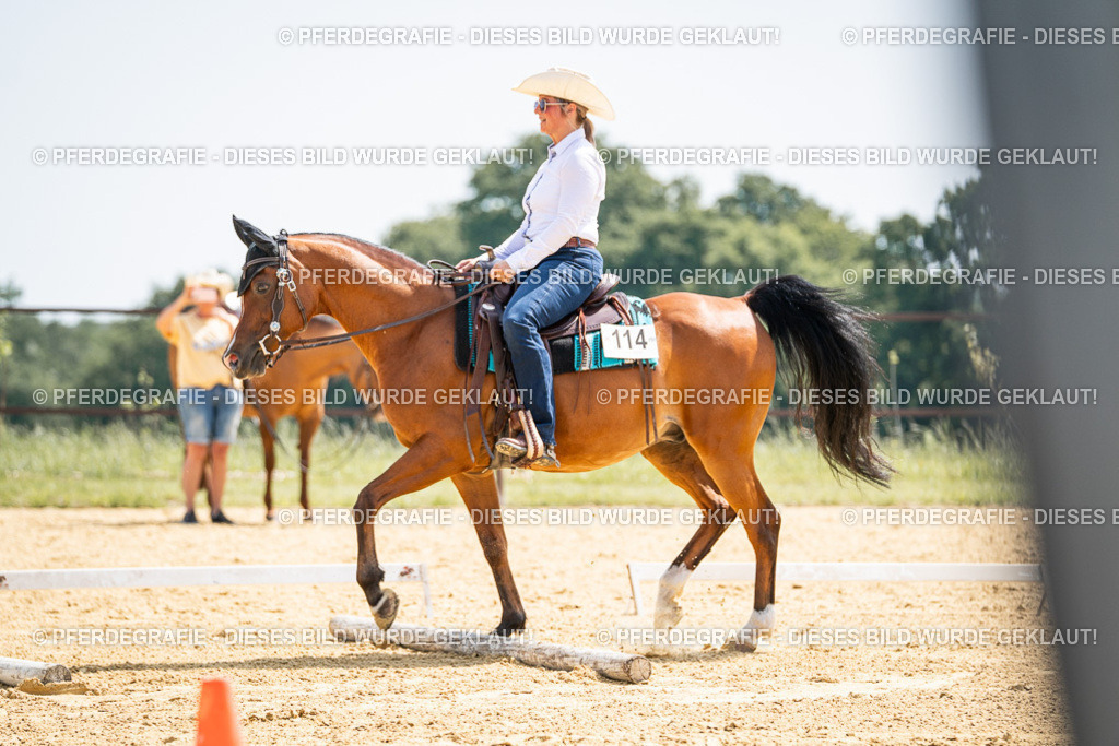 DSC00392 | Pferdegrafie