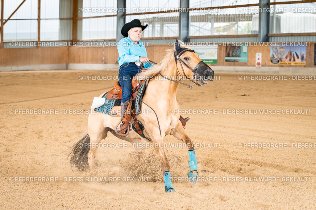 DSC02338 | Pferdegrafie