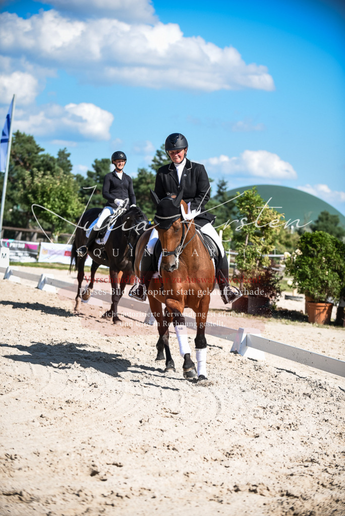 DSC_9756 | Pferde- und Turnierfotografie in Westsachsen. Pferdeportraits, Auftragszeichnungen und intuitive Kunst.