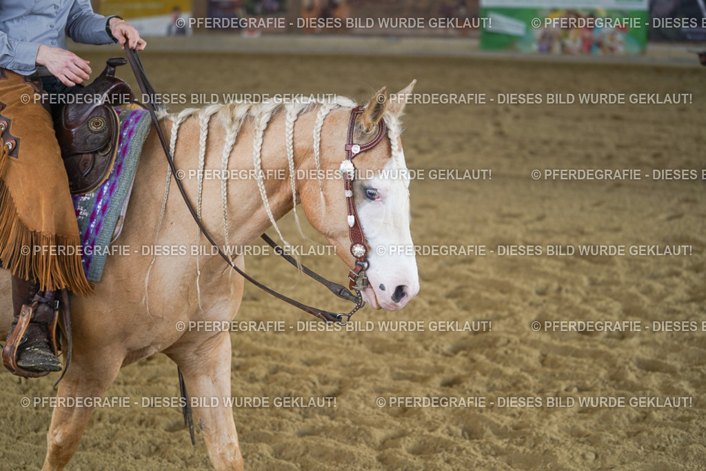 DSC08128 | Pferdegrafie