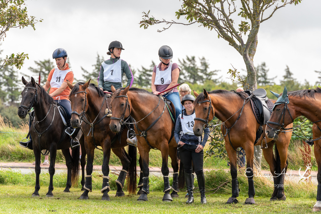 EAF_7309 | Eilun-Art-Fotografie Levke Martens, ihre Fotografin für Immobilien- und Landschaftsfotografie auf Föhr, Föhrer Motive als Poster, Leinwand, hinter Acrylglas oder stelle dir deinen eigenen Monatskalender zusammen, mit nur einem Klick