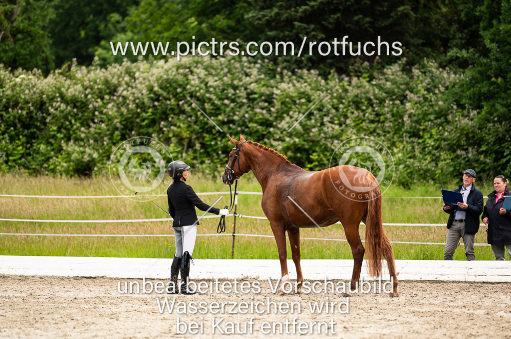 DSC_0249 | Turnierfotoshop Rotfuchs Fotografie