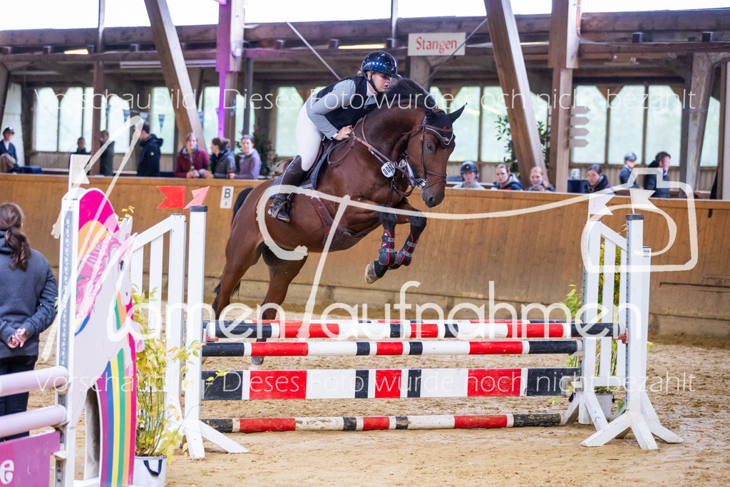 Sth-A-Springen-130 | MomenTaufnahmen Pferdesportfotos