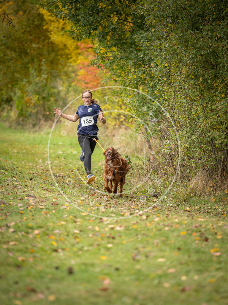Pfotenfotografie_DV3A3728 | Hundefotografie, Tierfotograf, Pfotenfotografie, Fotoshooting Hund, Hunde Portrait, Hundesport, Hundeportraits, Heideshooting, Hunde, Sportfotograf, Hundefotograf, Turnierhundsport, THS,  - Realisiert mit Pictrs.com