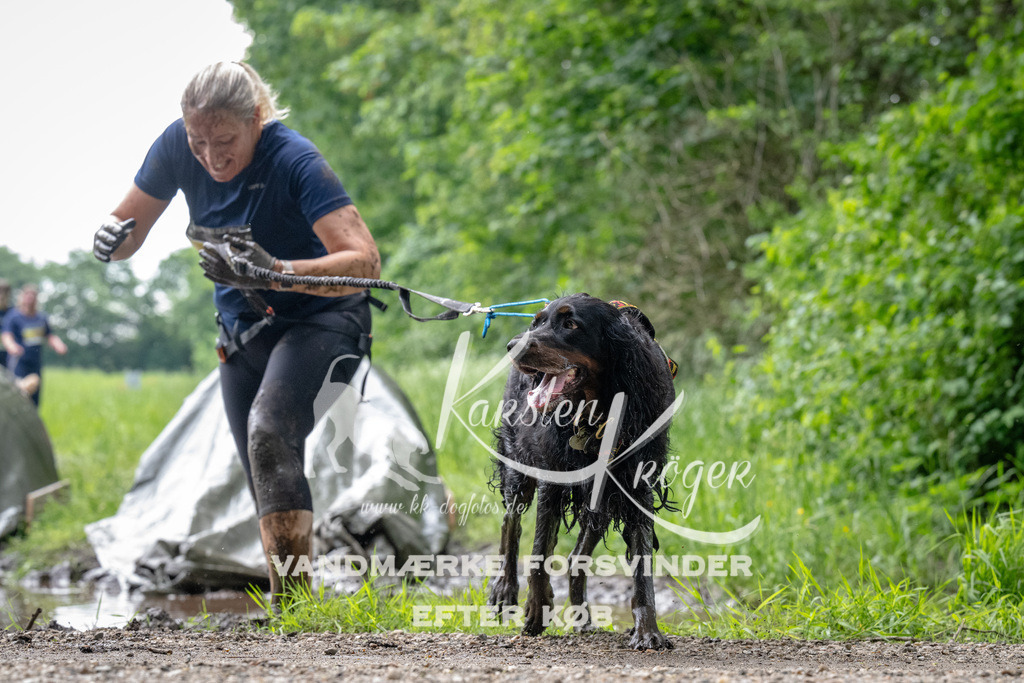 0949_ZZ91897 | kk-dogfotos