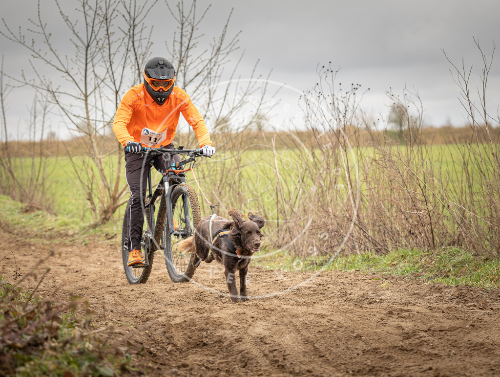 DV3A0819 | Hundefotografie, Tierfotograf, Pfotenfotografie, Fotoshooting Hund, Hunde Portrait, Hundesport, Hundeportraits, Heideshooting, Hunde, Sportfotograf, Hundefotograf, Turnierhundsport, THS,  - Realisiert mit Pictrs.com