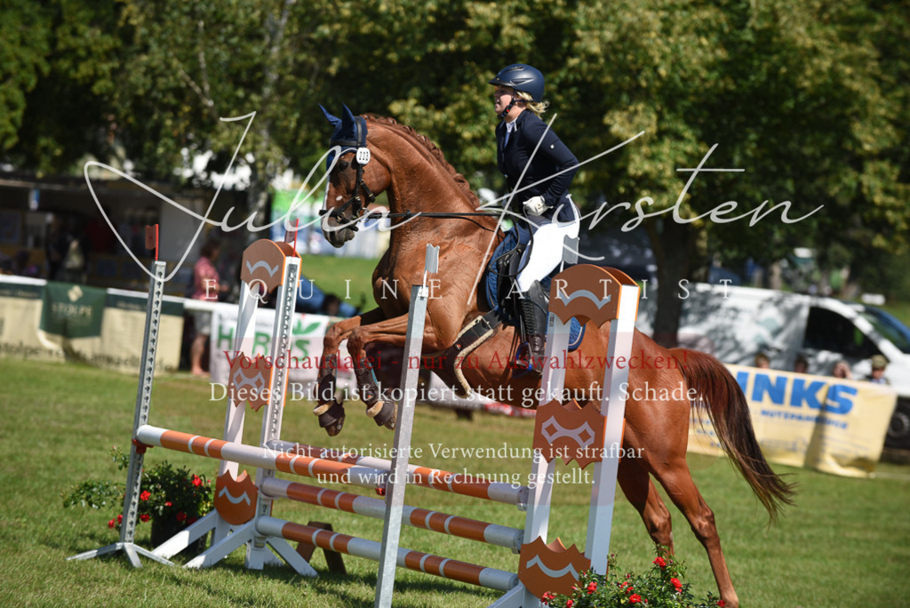 DSC_9292 | Pferde- und Turnierfotografie in Westsachsen. Pferdeportraits, Auftragszeichnungen und intuitive Kunst.