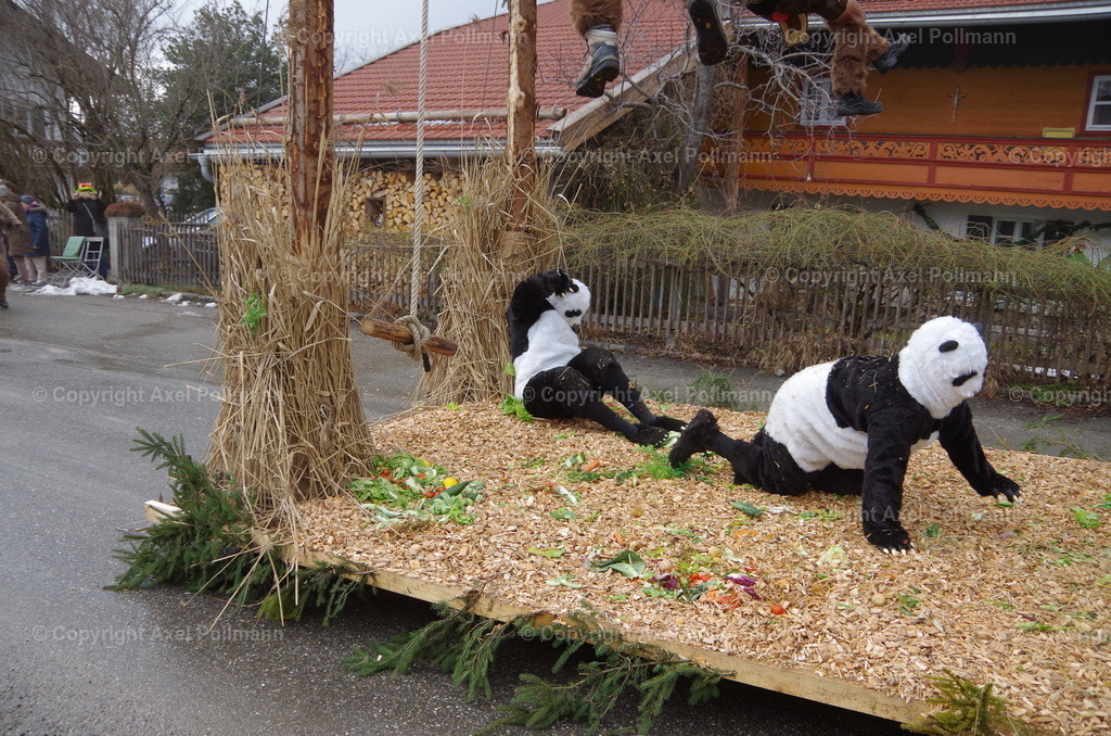 IMGP3579 | fotografiert von Axel PollmannLeonhardi Wallfahrt Benediktbeuern und Murnau, Fronleichnam, Fasching, Landschaft im Loisachtal und Benediktbeuern  - Realisiert mit Pictrs.com
