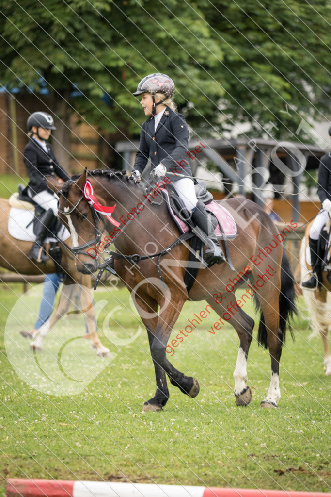 IMG_1970 | Sport-, Event- und Tierfotos in Profiqualität. Einfach auswählen, bestellen und herunterladen. Dein Moment – perfekt festgehalten.