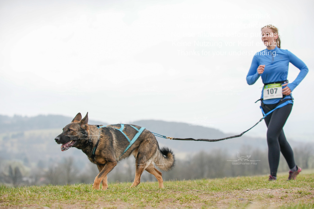 Canixlong-427 | stephaniefillaphotographie - Realisiert mit Pictrs.com