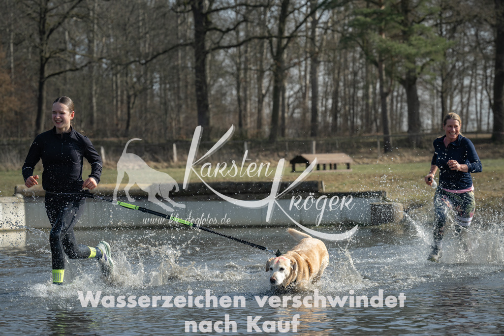 1258_ZZ93463 | kk-dogfotos