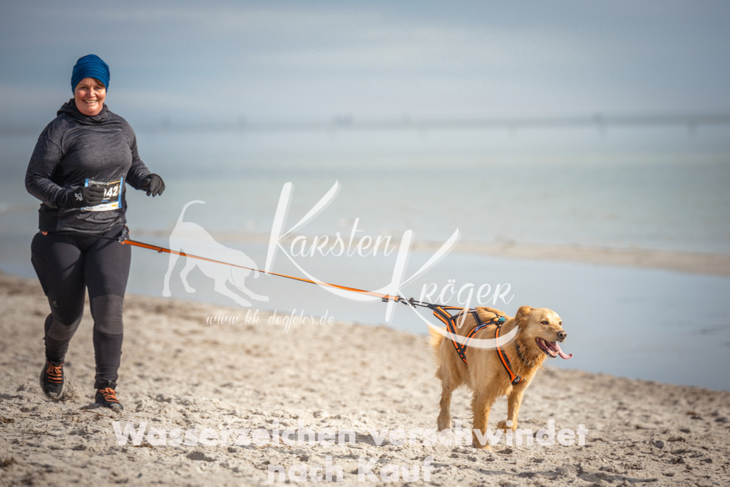 1158_ZZ93122 | kk-dogfotos