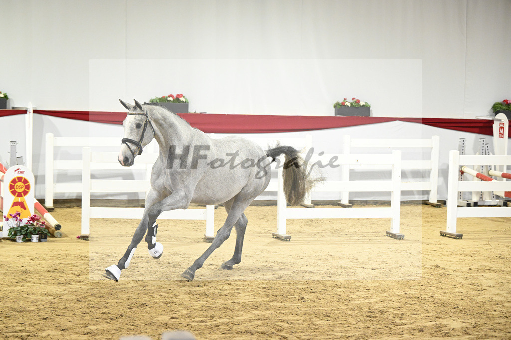 Kat-Nr. 46 v. Clarimo_Hahn u Schleicher_63221131 | hf-fotografie - Realizzato con Pictrs.com