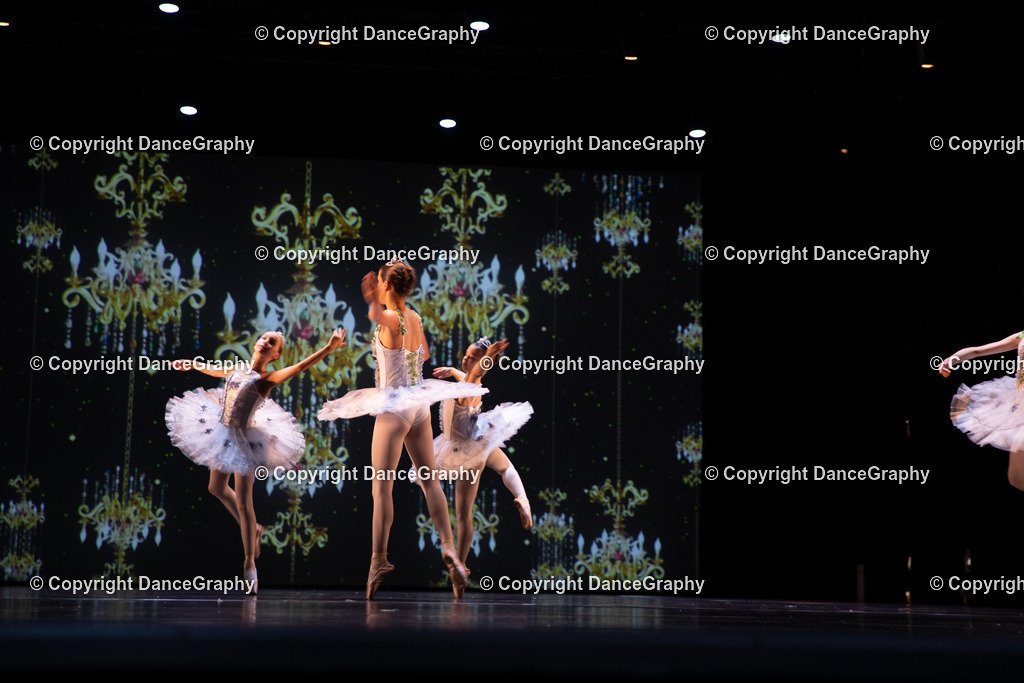 GPHY5834 | DanceGraphy - Realisiert mit Pictrs.com