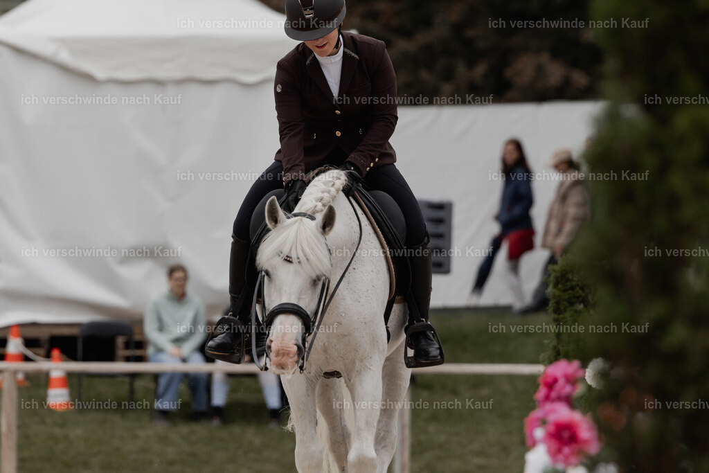 WE_DR_Stoib_318_PI2025_504 | Pferd International München 2025