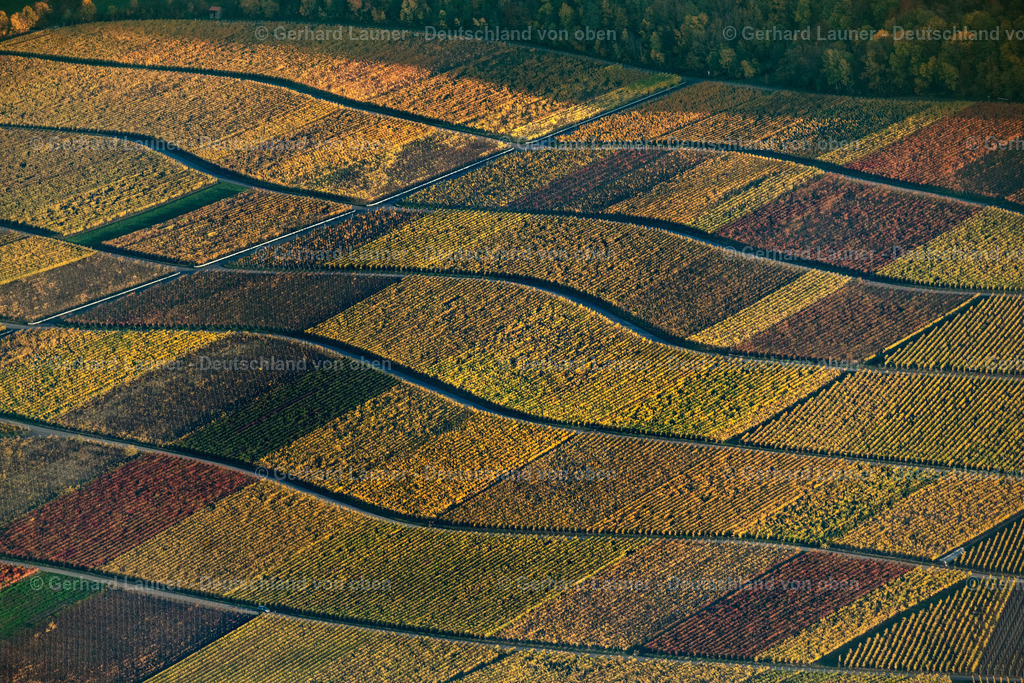 4042429 | Weinbergslandschaft an der Mainschleife bei Escherndorf und Nordheim
