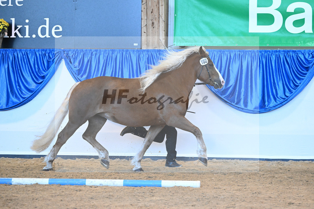 Kat-Nr. 102 Malea_ZG Schmidt_53220717 | hf-fotografie - Realizzato con Pictrs.com