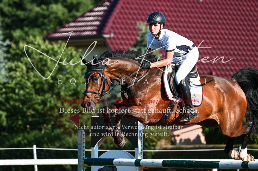 DSC_3066 | Pferde- und Turnierfotografie in Westsachsen. Pferdeportraits, Auftragszeichnungen und intuitive Kunst.