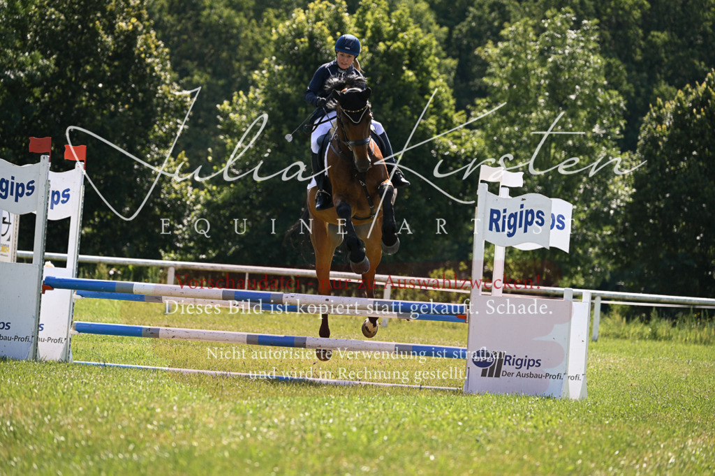 DSC_8844 | Pferde- und Turnierfotografie in Westsachsen. Pferdeportraits, Auftragszeichnungen und intuitive Kunst.
