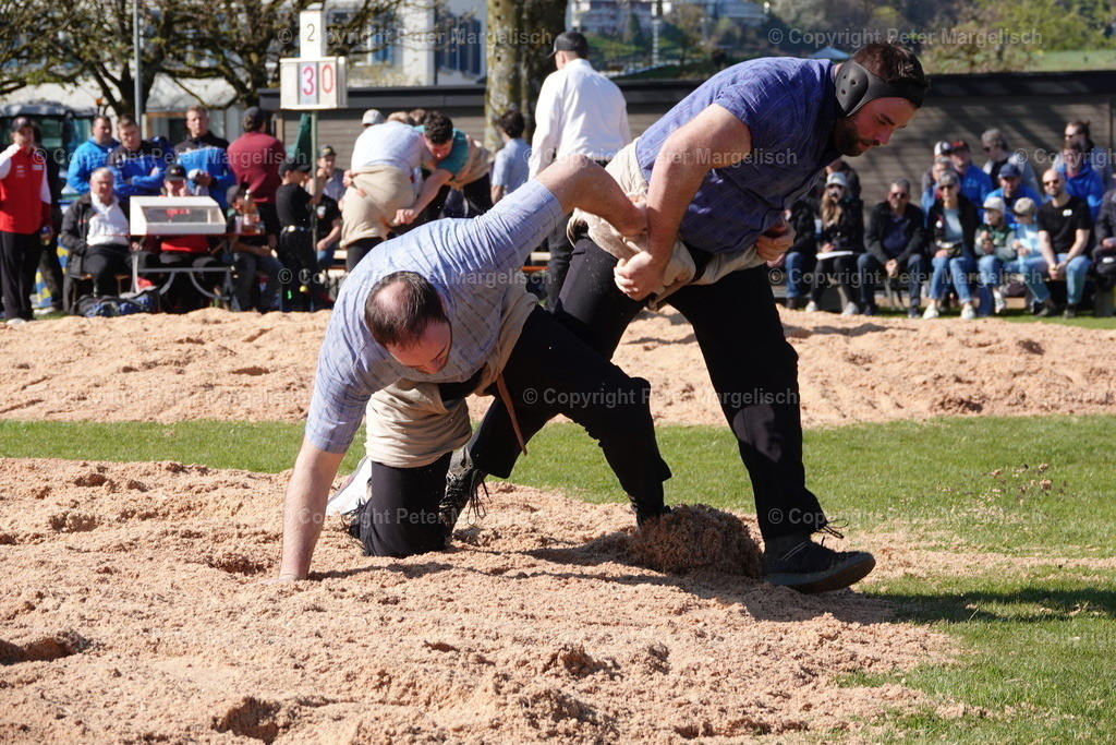 DSC02267 | Schwingen - Realisiert mit Pictrs.com