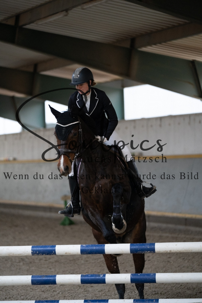 A7V07177 | Pferdefotograf