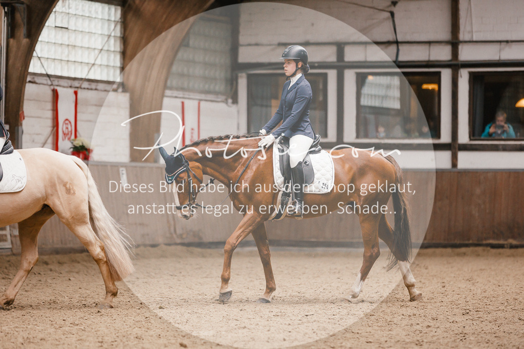 3I6A7859 | Stimmungsvolle Portraits und Reitsportfotografie im Ruhrgebiet und im Münsterland.

Pferdefotografie, Hundefotografie, Tierfotografie, Reportagen, Portraits von Tier und Mensch, Turnierfotografie in Bochum, Recklinghausen, Marl, Haltern am See, Dülmen.. - Realisiert mit Pictrs.com