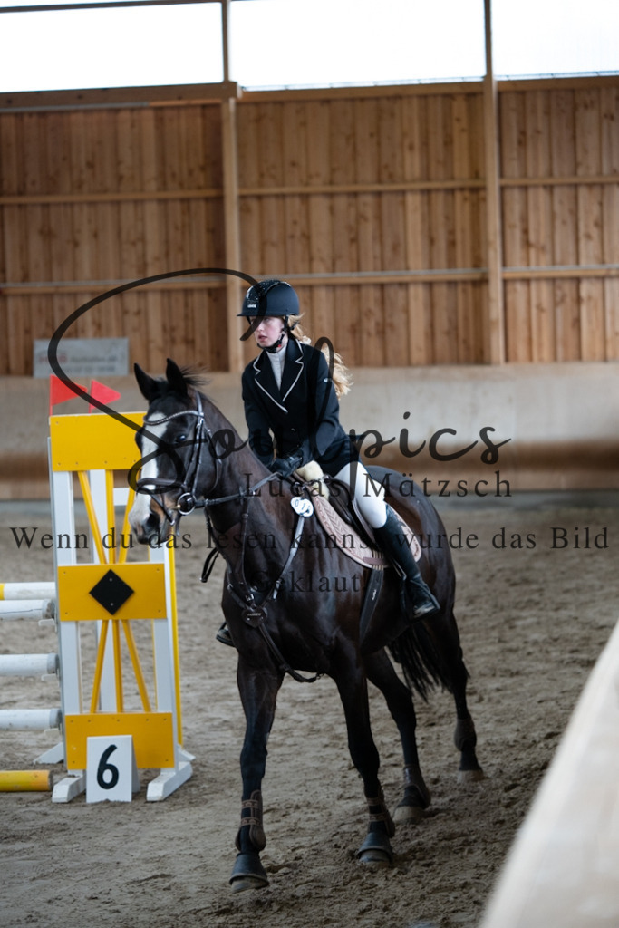 A7V00417 | Pferdefotograf