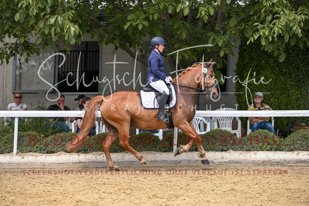 Schugtsche-Aluta25-55.Dressurreiterprf.L1Tr-90 | Schugtsche Fotografie - Realisiert mit Pictrs.com