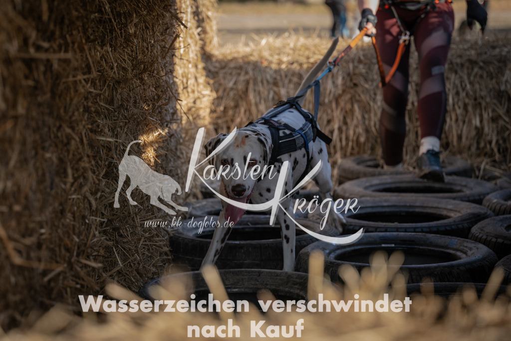 1122_ZZ91289 | kk-dogfotos