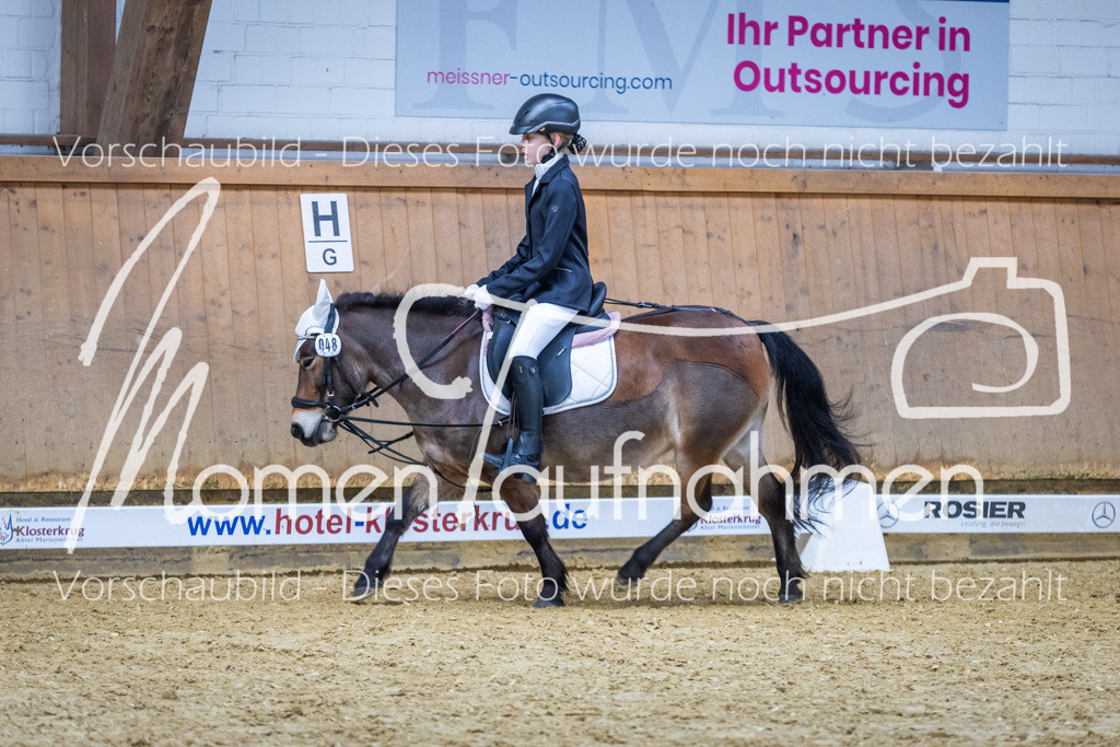 Sth-WBO25-RWBST-038 | MomenTaufnahmen Pferdesportfotos