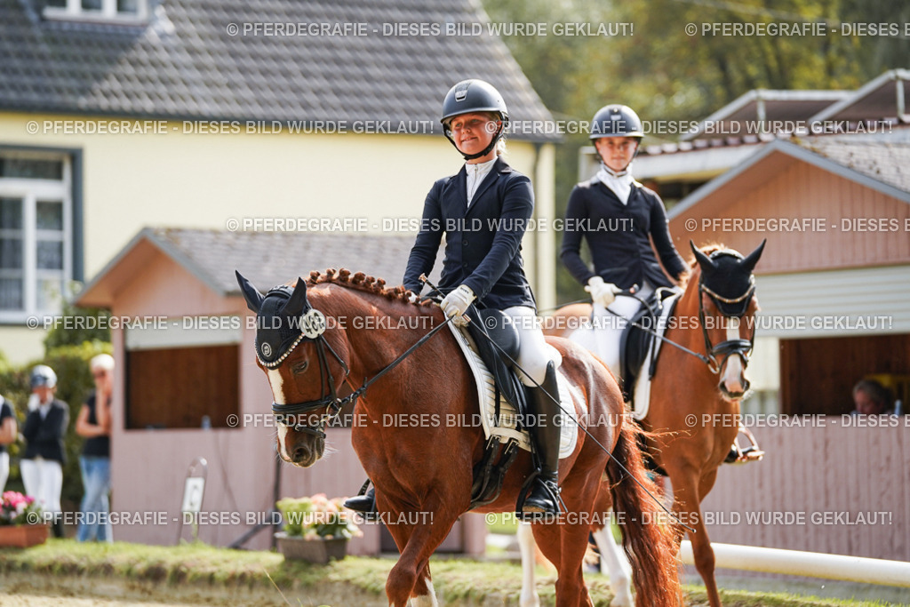 DSC03939 | Pferdegrafie