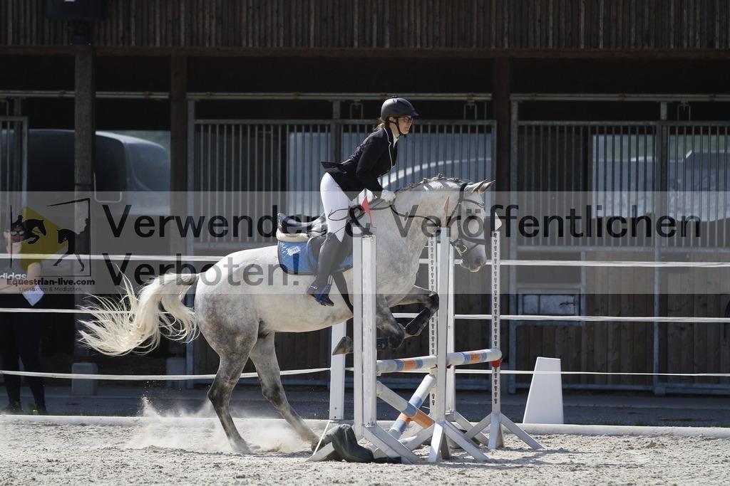 _MG_3511 | equestrian-live-com