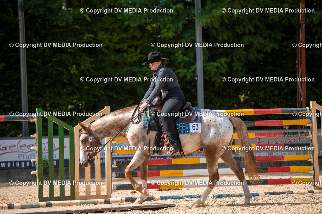 EWP_6917 | dv-media-shop - Realisiert mit Pictrs.com