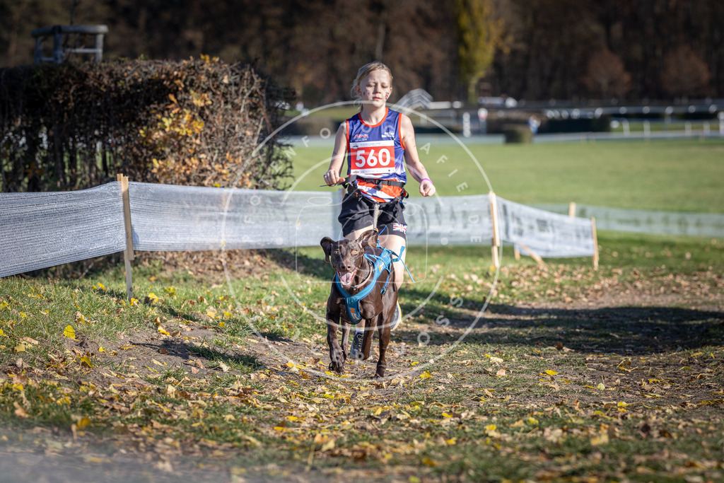 CaniXpix_DV3A8673 | Hundefotografie, Tierfotograf, Pfotenfotografie, Fotoshooting Hund, Hunde Portrait, Hundesport, Hundeportraits, Heideshooting, Hunde, Sportfotograf, Hundefotograf, Turnierhundsport, THS,  - Realisiert mit Pictrs.com