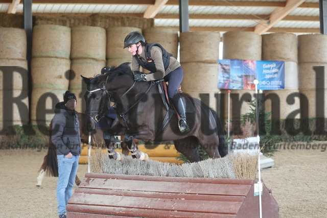 2024_Nussdorf_VS-Lehrgang_mit Nico Aldinger (101) | Alle Fotos der Reiterjournal Fotografin Doris Matthaes im Reiterjournal Online-Fotoshop. - Realisiert mit Pictrs.com