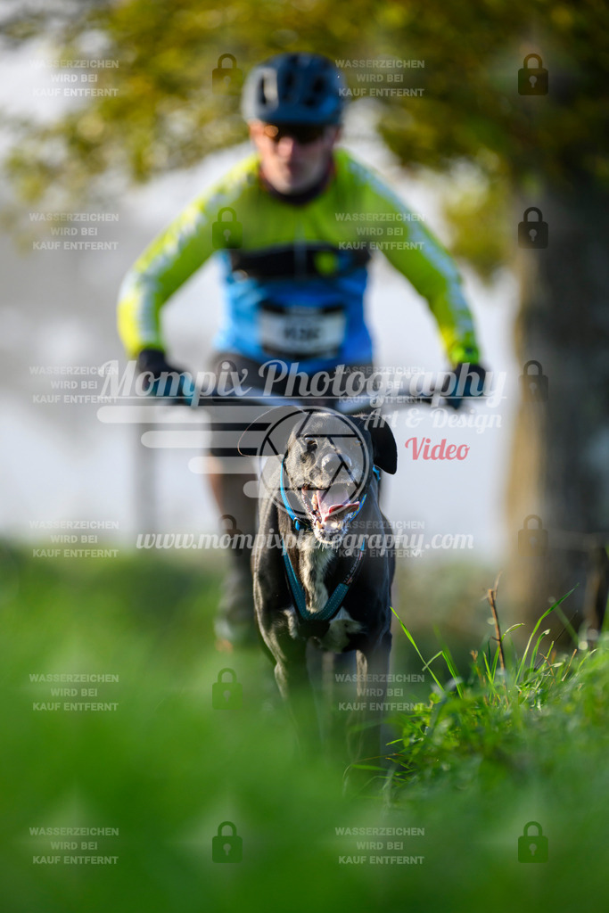 MompixPhotography_20TSB_E3_Bike-80 | PayLife