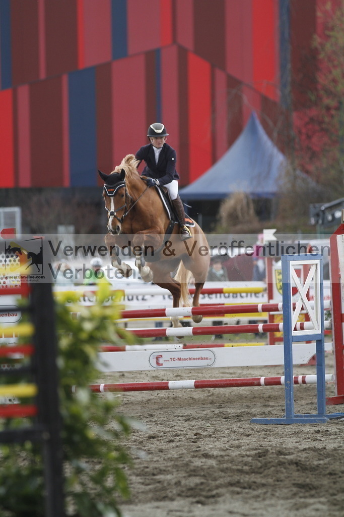 _MG_8461 | equestrian-live-com
