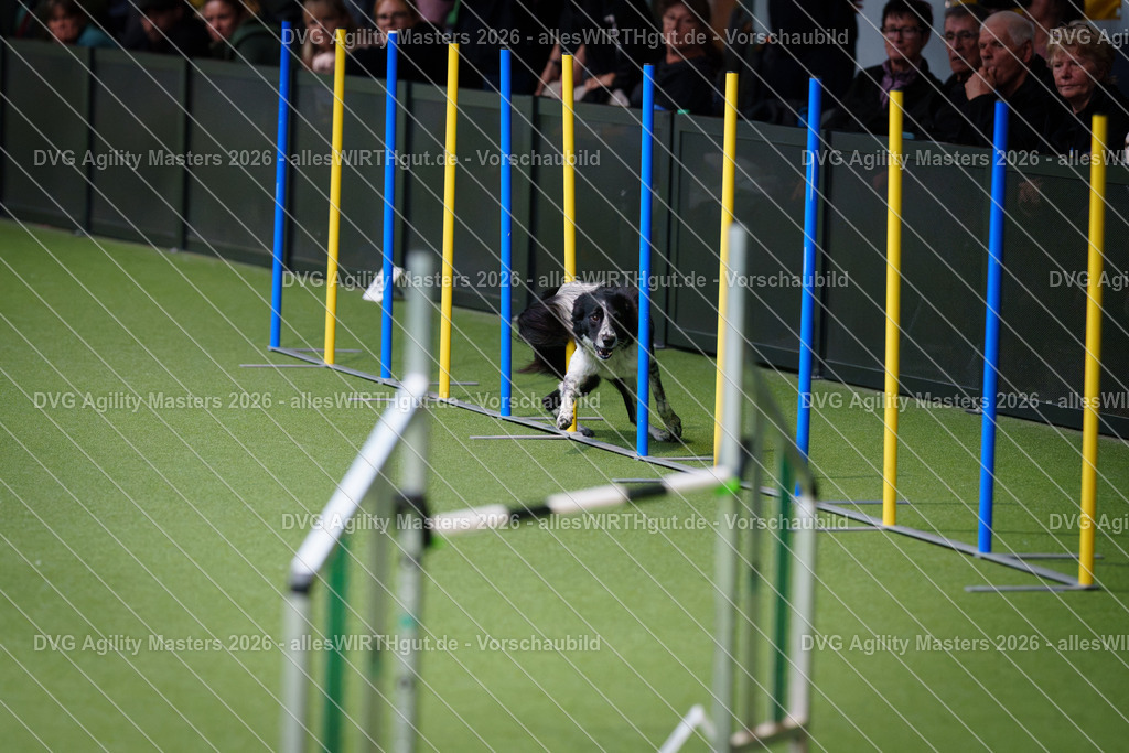 allesWIRTHgut_Tierfotografie-DVG_Agility_Masters_2026-09_41-7R502429 | Professionelle Tierfotografie in Mönchengladbach von Daniel Wirth (allesWIRTHgut). Liebevolle & natürliche Bilder von Hunden & Katzen für unvergessliche Erinnerungen.