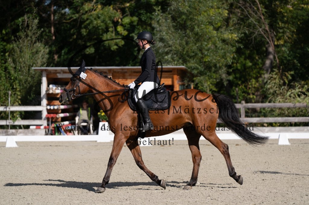 A7V06951 | Turnier/Reitfotograf