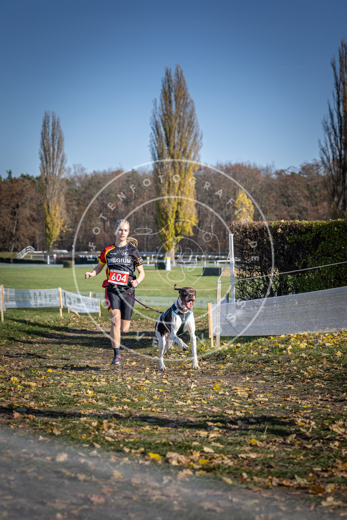 CaniXpix_DV3A9580 | Hundefotografie, Tierfotograf, Pfotenfotografie, Fotoshooting Hund, Hunde Portrait, Hundesport, Hundeportraits, Heideshooting, Hunde, Sportfotograf, Hundefotograf, Turnierhundsport, THS,  - Realisiert mit Pictrs.com
