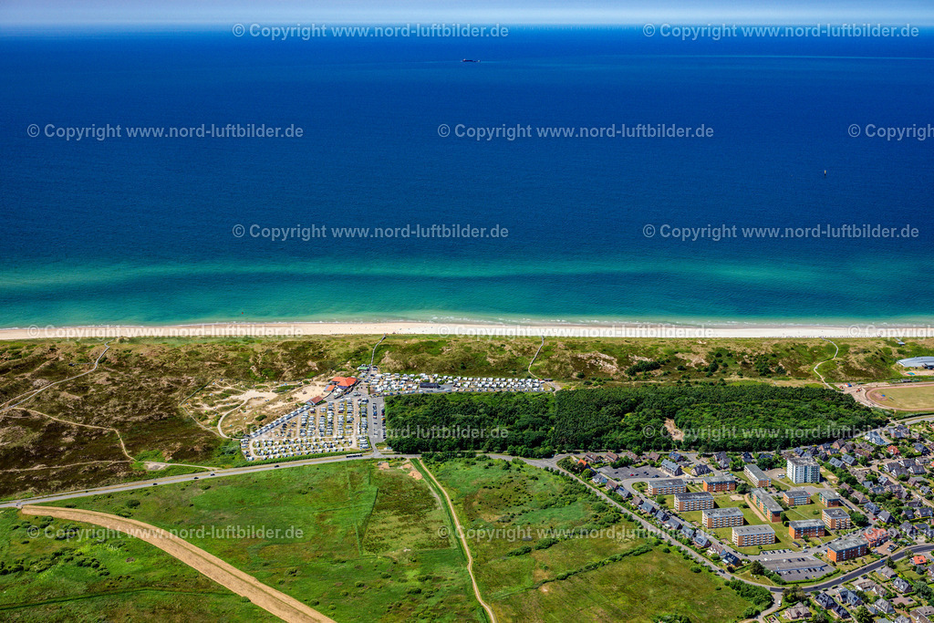 Sylt_Westerland_Campingplatz_Wald_ELS_4990210625 | SYLT 21.06.2025 Wohnwagen und Zelte- Campingplatz - und Zeltplatz in Westerland auf Sylt im Bundesland Schleswig-Holstein, Deutschland. Weiterführende Informationen bei: Campingplatz Westerland. // Camping with caravans and tents in Westerland at Sylt in the state Schleswig-Holstein, Germany. Further information at: Campingplatz Westerland. Foto: Martin Elsen