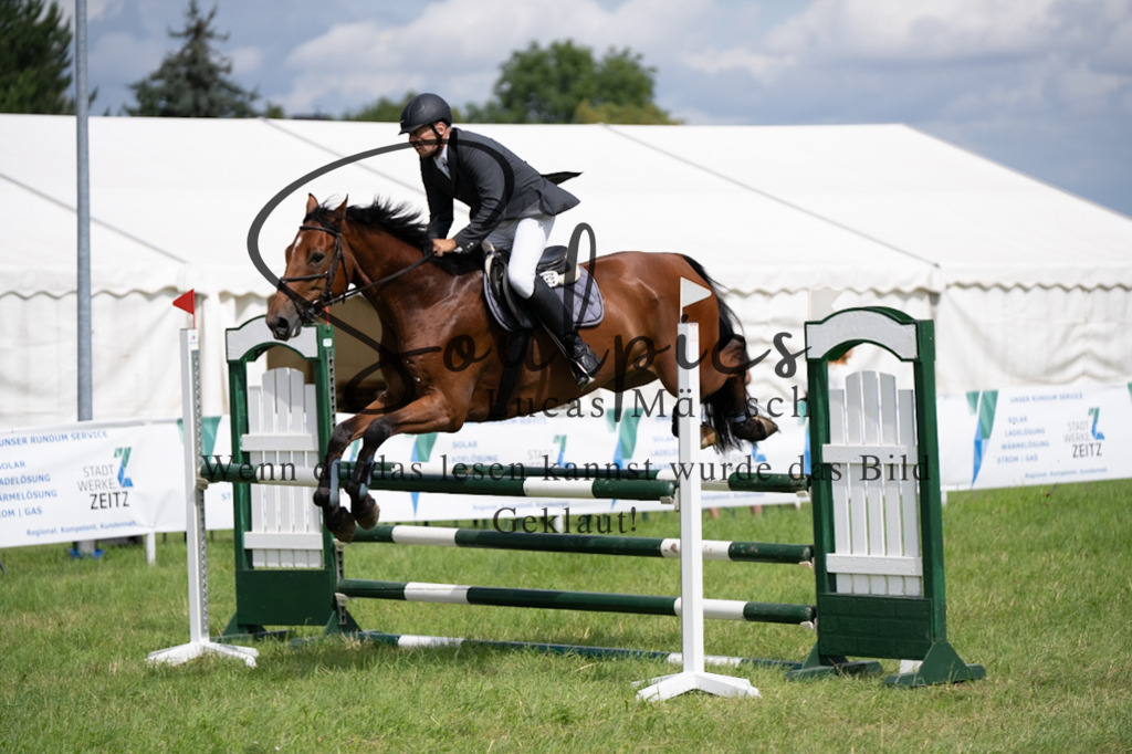 A7V04152 | Pferdefotograf