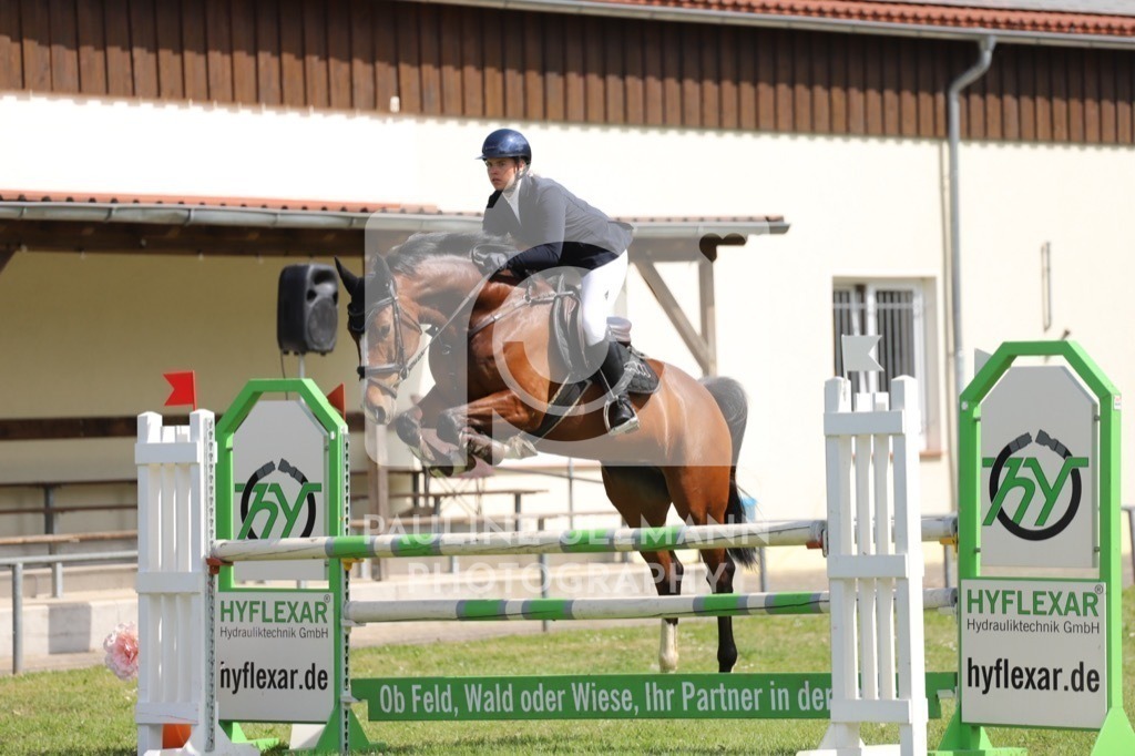 IMG_7153 | Pauline Ullmann Photography - Realisiert mit Pictrs.com